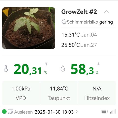 Walburga #3 growlog timeline photo