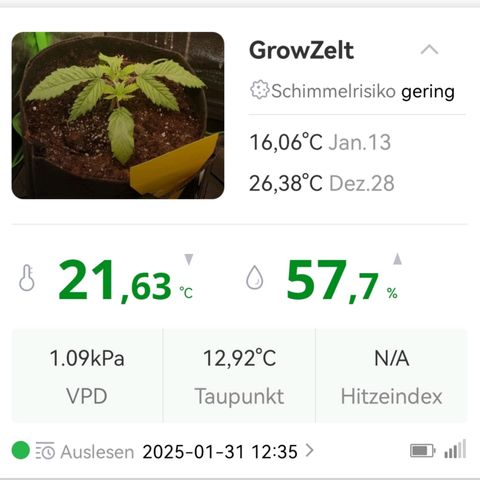 Walburga #2 growlog timeline photo