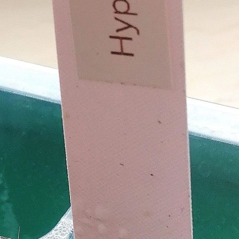 Bärbel growlog timeline photo