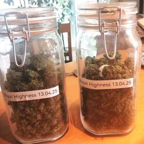 Walburga #3 growlog timeline photo