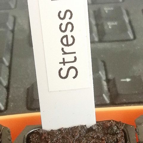Ute growlog timeline photo