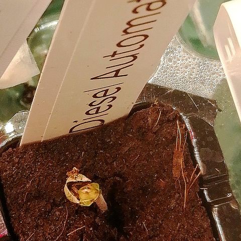 Jule growlog timeline photo