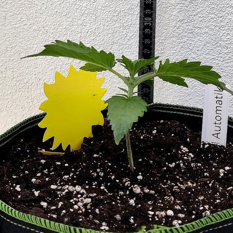 Jule growlog timeline photo