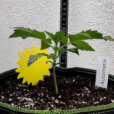 Jule growlog timeline photo