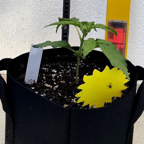 Waltraud growlog timeline photo