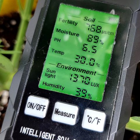 Ida growlog timeline photo