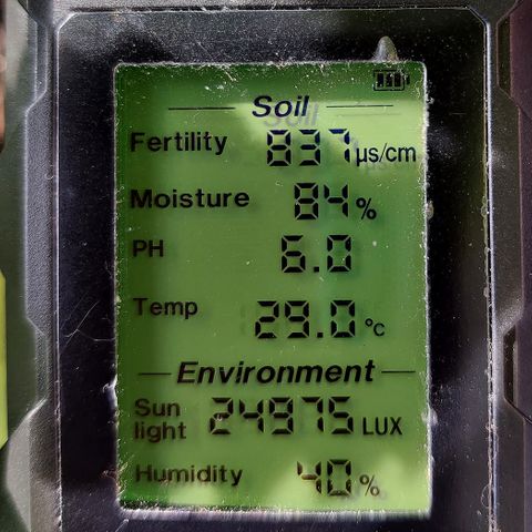 Jule growlog timeline photo