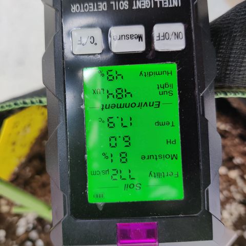 Ida growlog timeline photo