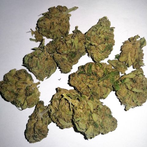 Walburga #3 growlog photo: Nach 56 Tage Curing