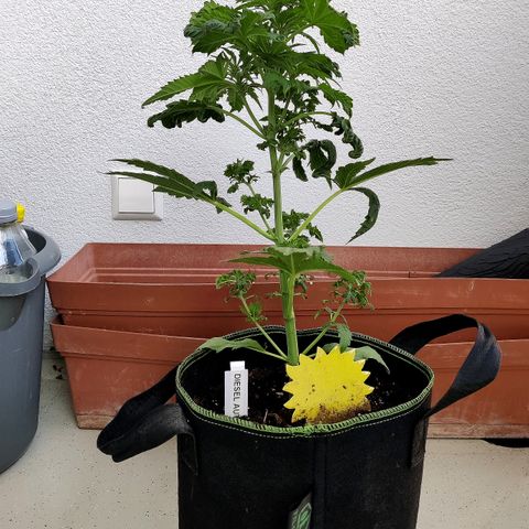 Jule growlog timeline photo