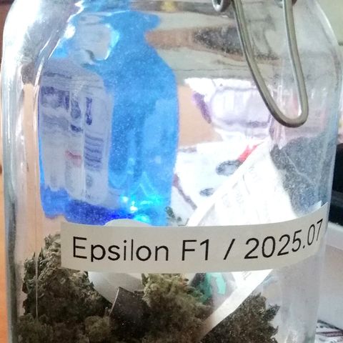 Elli growlog timeline photo