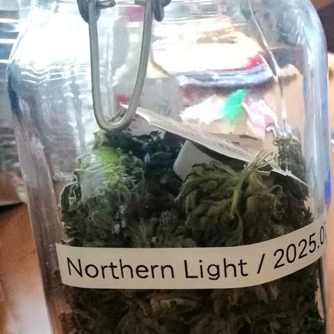 Ida growlog timeline photo