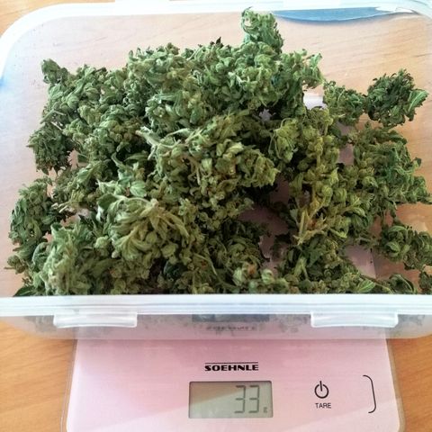 Waltraud growlog timeline photo