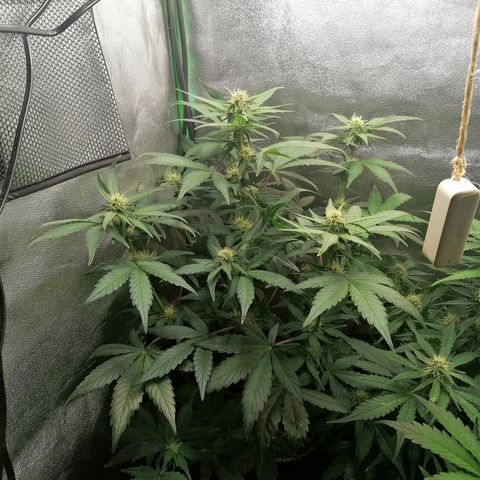 Justine growlog timeline photo