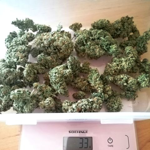 Ankhiale growlog timeline photo