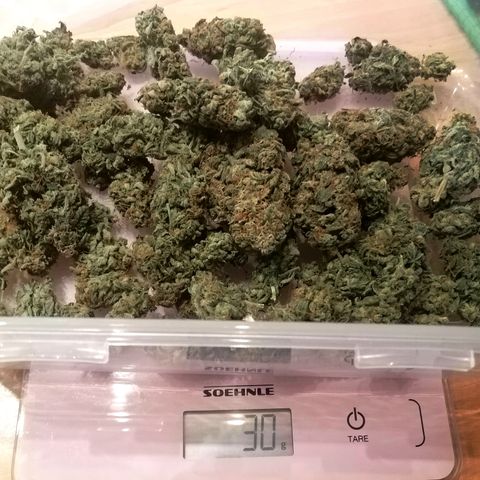 Ankhiale growlog timeline photo