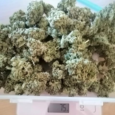 Justine growlog timeline photo