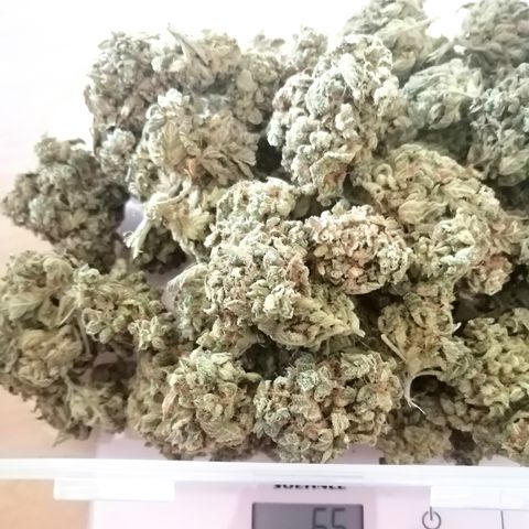 Justine growlog timeline photo