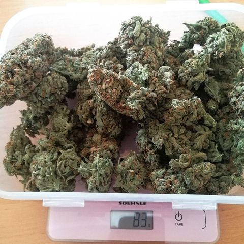Edith growlog timeline photo