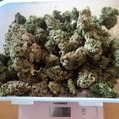 Edith growlog timeline photo