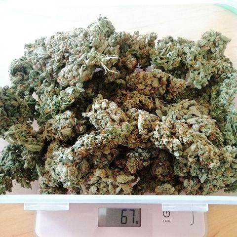 Edith growlog timeline photo