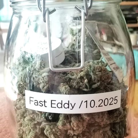 Edith growlog timeline photo