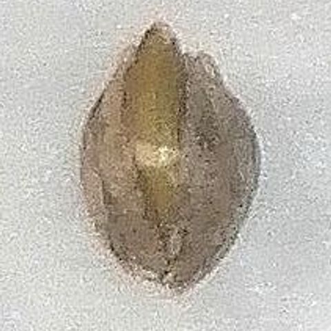 Lucy growlog timeline photo