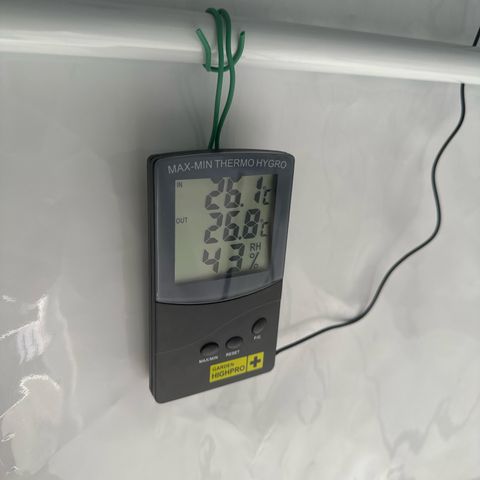 Euphoria #1 growlog photo