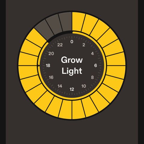 White Widow #2 growlog photo: Lowered light strength 