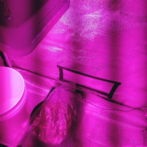 Critical #2 growlog photo: 22:36