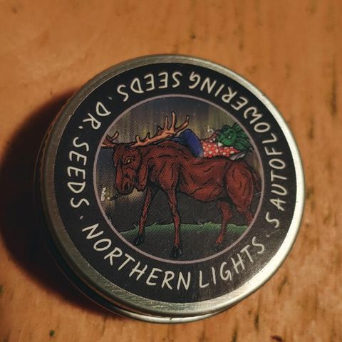 Northern light growlog timeline photo