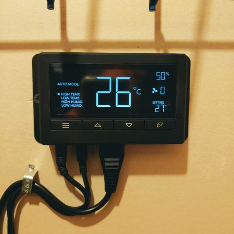 Northern light growlog photo: 8:15