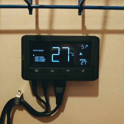 Northern light growlog photo: 21:30