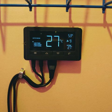 Northern light growlog photo: 13:30