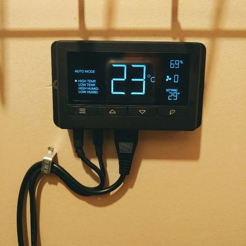 Northern light growlog photo: 22:50