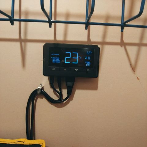 Northern light growlog photo: Nouveau set up