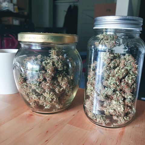 Northern light growlog timeline photo