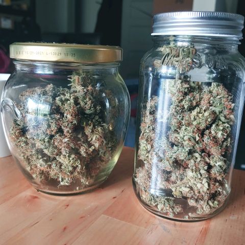 Critical #2 growlog photo: Yeah!!!