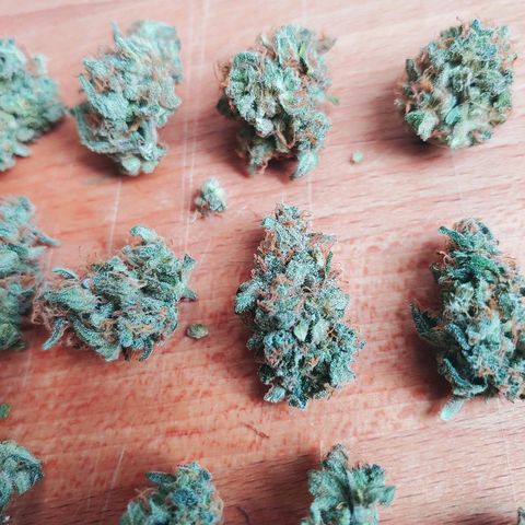Critical #2 growlog photo: Yeah!!!