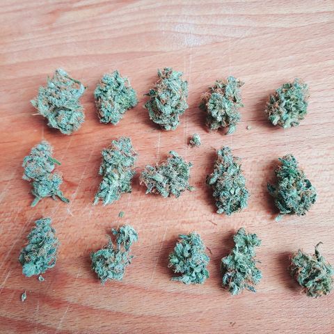 Critical #2 growlog photo: Yeah!!!