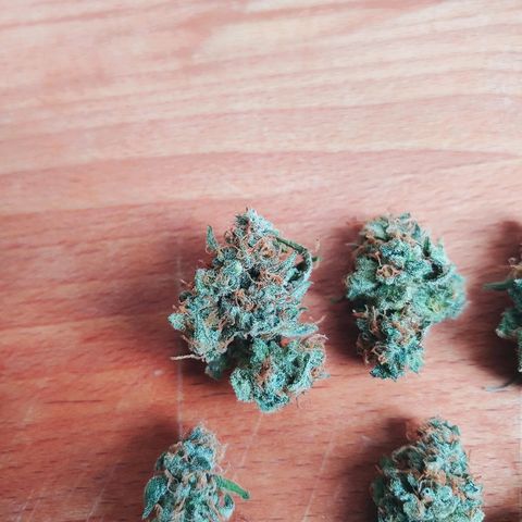 Critical #2 growlog photo: Yeah!!!