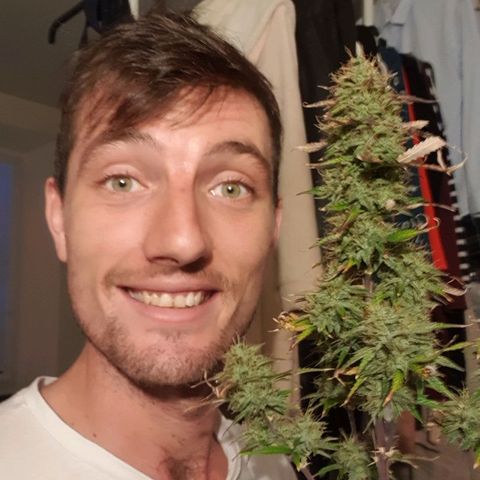 NL 1 growlog timeline photo