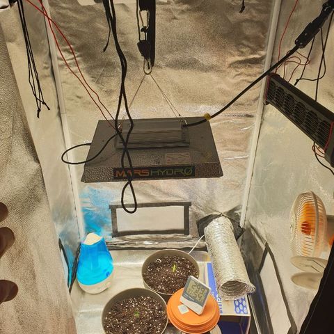 NL 1 growlog timeline photo