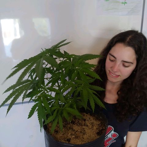 Wendy growlog photo: Wendolina, hecha un adolescente.