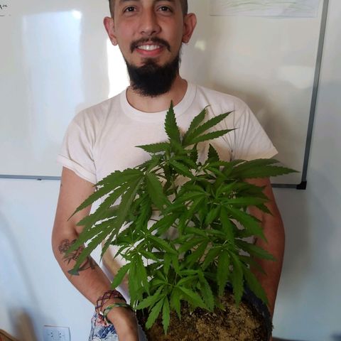 Wendy growlog photo: Wendolina, hecha un adolescente.