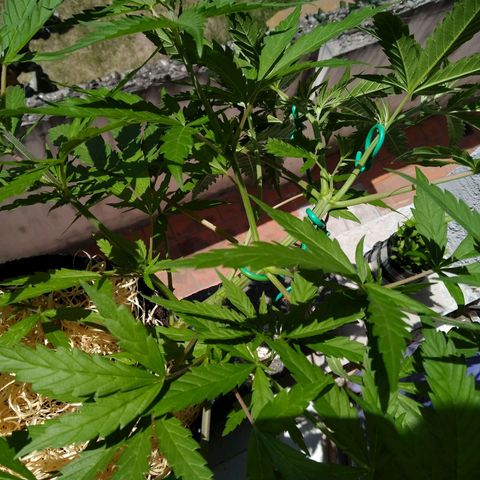 Wendy growlog timeline photo