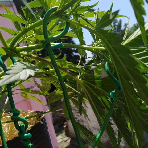 Wendy growlog timeline photo