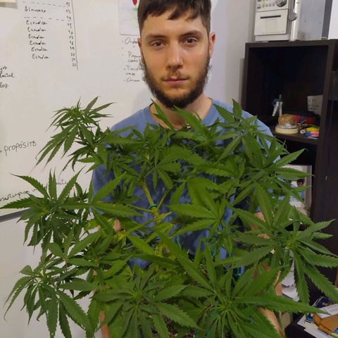 Wendy growlog photo: Wendy antes de mudarse a los 20L