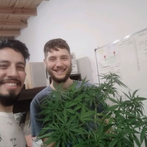 Wendy growlog photo: Wendy antes de mudarse a los 20L