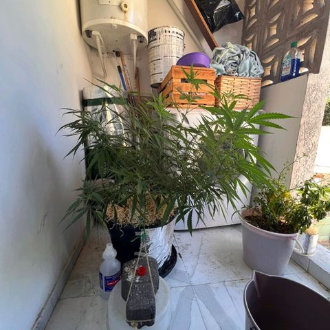 Wendy growlog photo: Wen cuando yo estuve de vacaciones